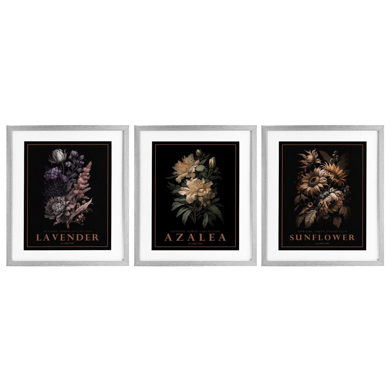 Stupell Industries Antique Botanical Herb Bushels 3pc Framed Print Under Glass Set, design by Christopher Giampietro